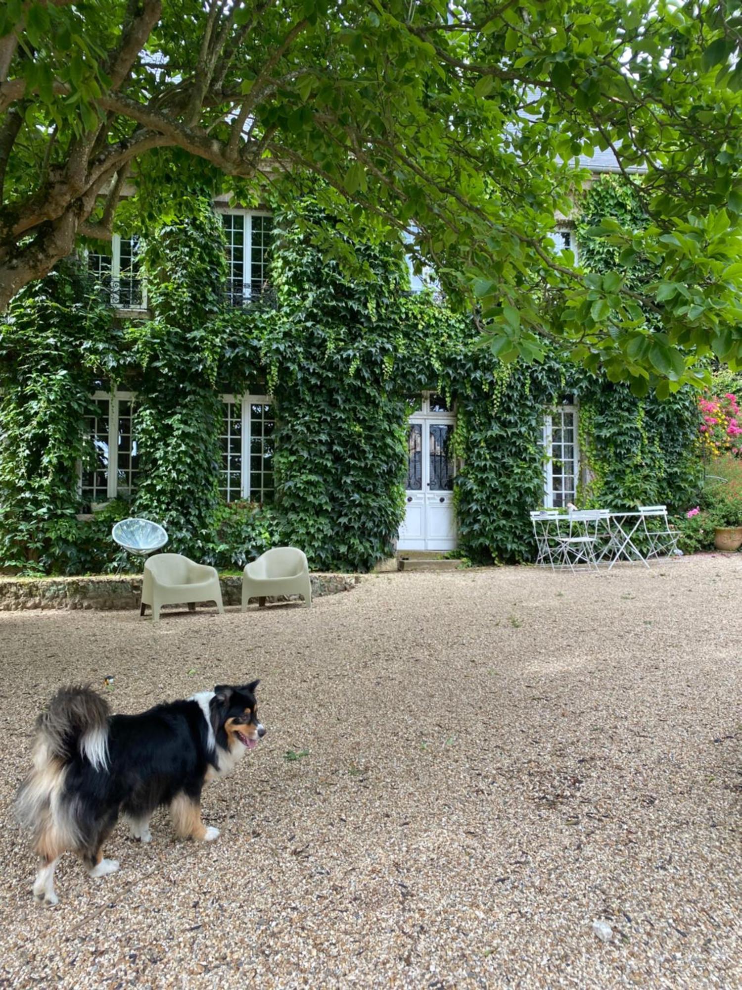 Cany-Barville La Benjamine B&B 외부 사진