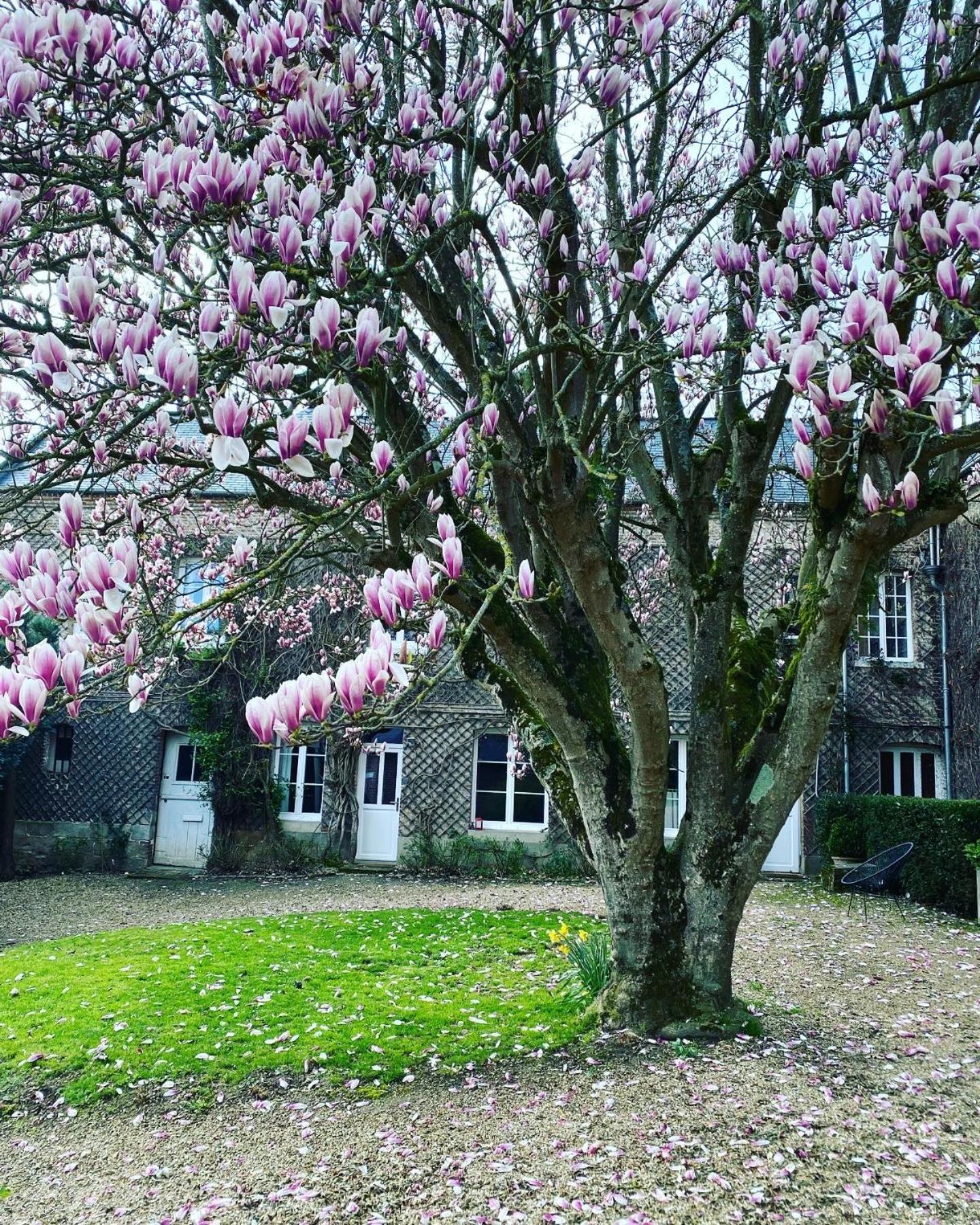Cany-Barville La Benjamine B&B 외부 사진